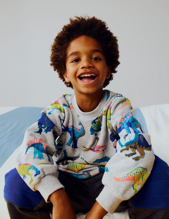 Everyday Printed Sweatshirt-Grey Dinos