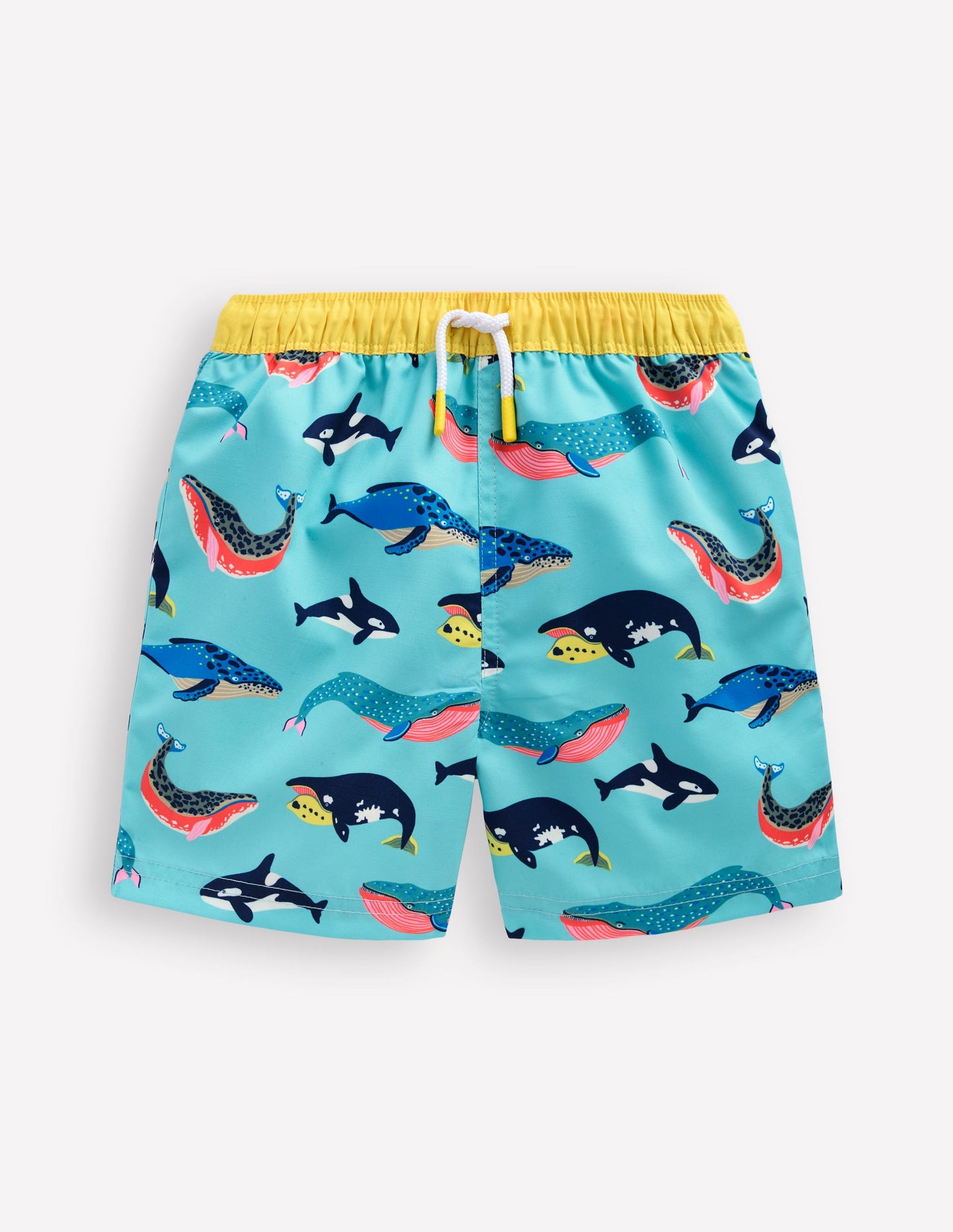 Swim Shorts-Swimming Whales