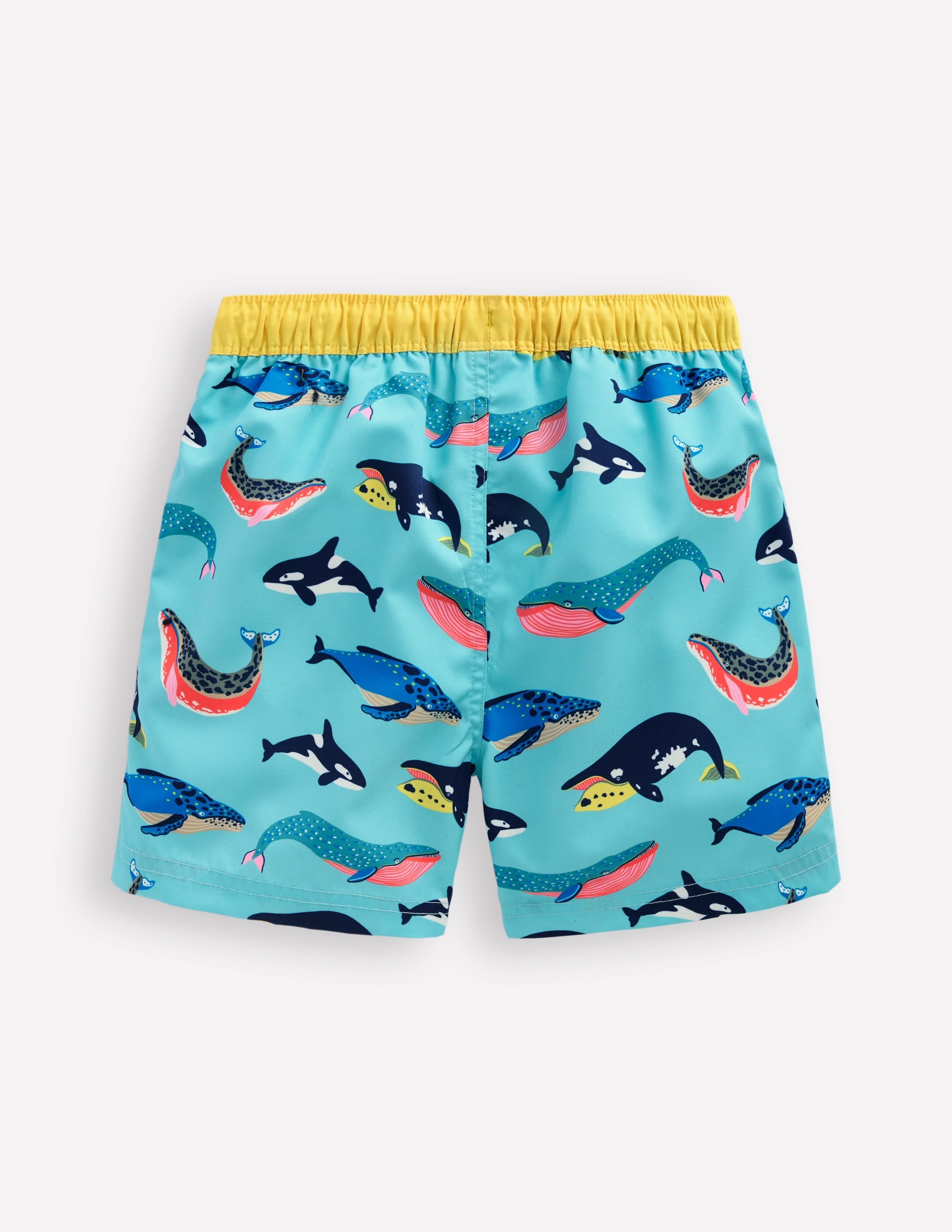 Swim Shorts-Swimming Whales - Image 2