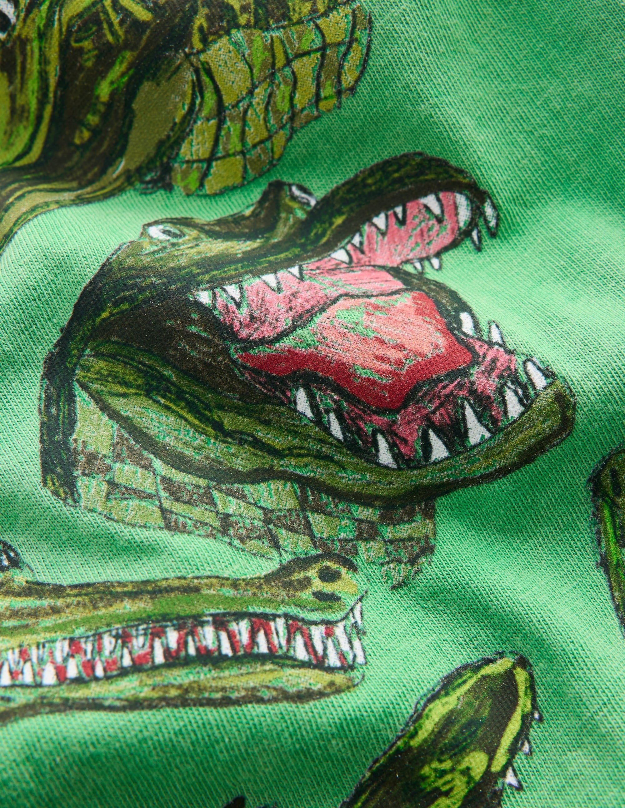 Vintage Wash Graphic T - shirt - Aloe Green Crocs | Boden UK