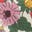 Sherpa Lined Anorak-Soft Cream Garden Flowerbed