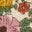 Printed Collared Zip-through-Floral