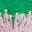 Embroidered Shirred Top-Sapling Green
