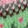 Edie Fair Isle Cardigan-Ecru Marl Flowers