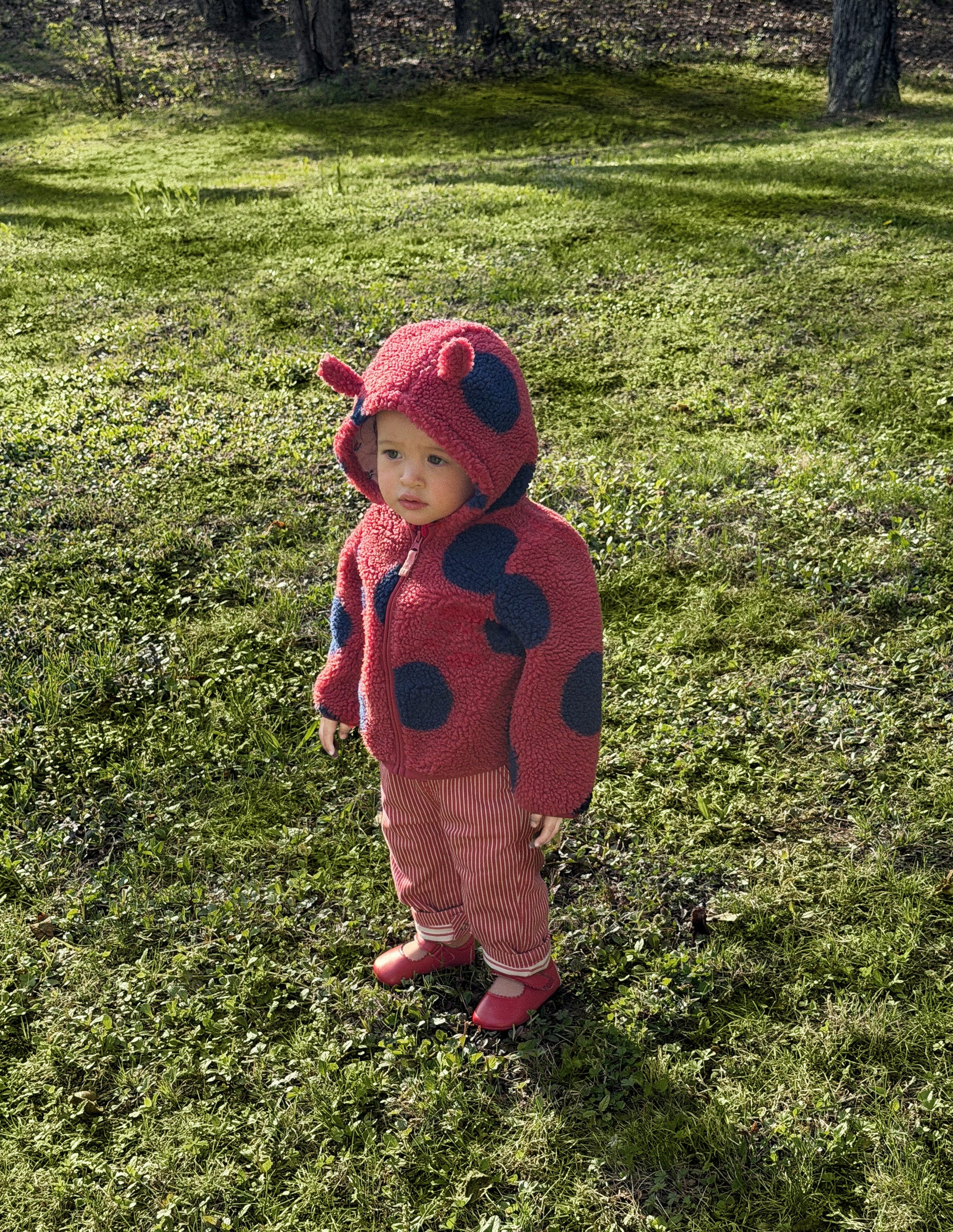 Novelty Cosy Borg Jacket-Ladybird-1