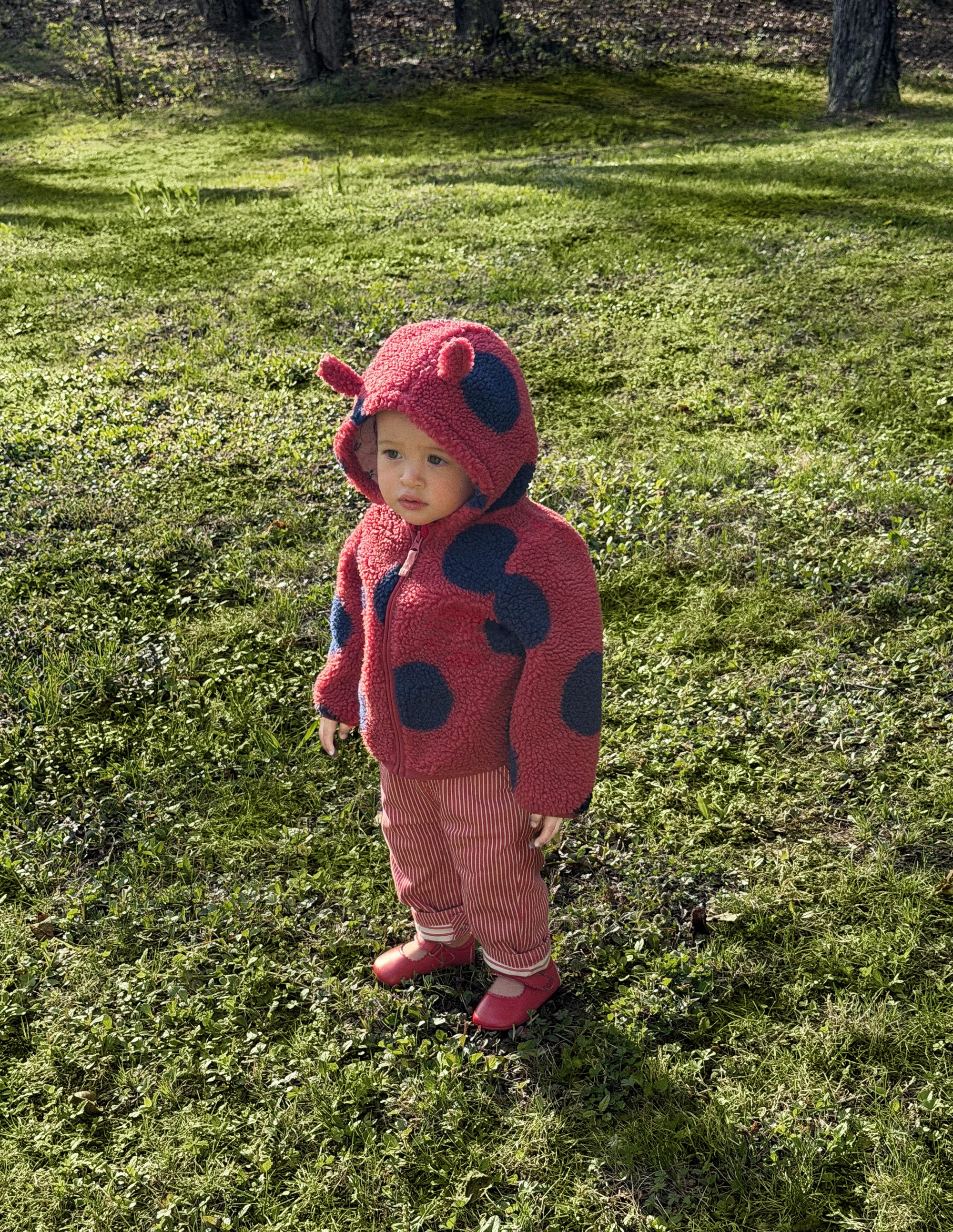Novelty Cosy Borg Jacket-Ladybird - Image 1