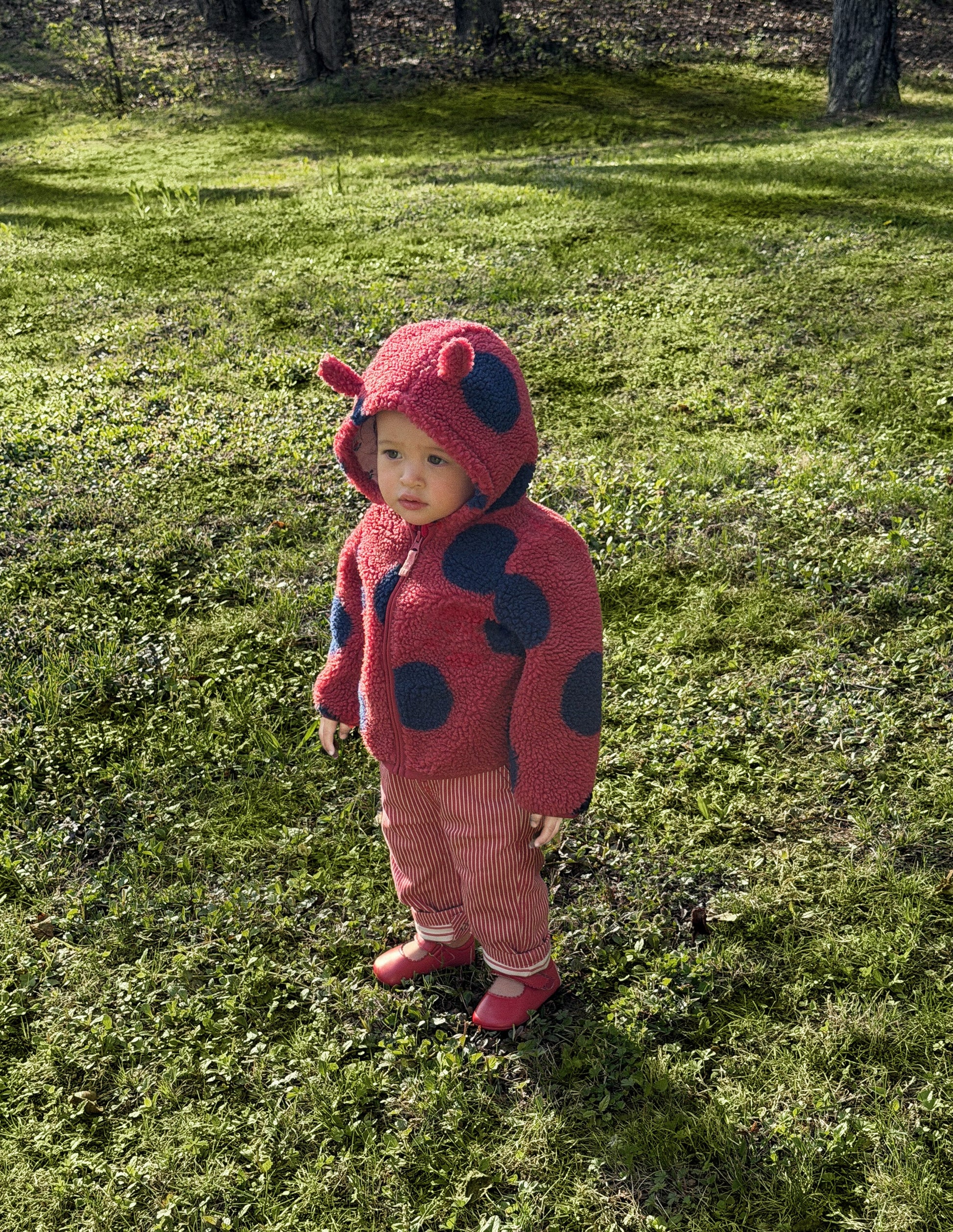 Novelty Cosy Borg Jacket-Ladybird-1