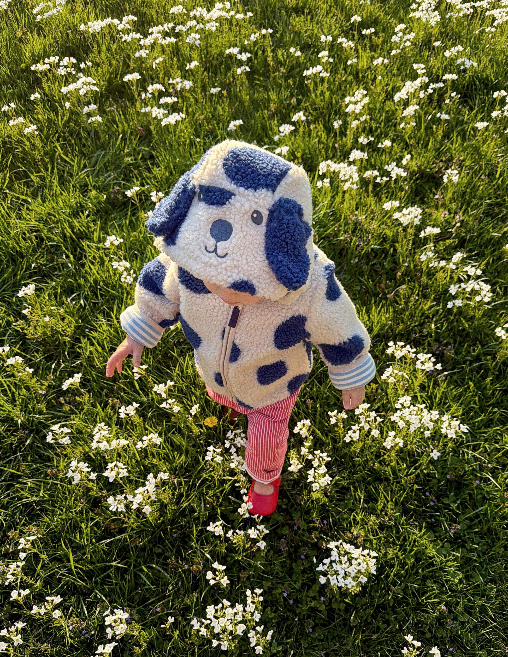 Novelty Cosy Borg Jacket-Navy & Ivory Dog-1