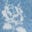 Cotton Pointelle Set-Glacier Blue Ditsy Floral