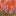 Fair Isle Cardigan-Chalk Pink Geese Fair Isle