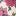 Jersey Tunic Set-Vintage Pink Flowerbed