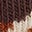 3 Pack Novelty Socks-Leopard Multi