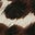 Dinah Everyday Flexi Loafers-Classic Leoaprd