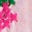 Camille Double Cloth Top-Spring Blossom Pink Embroidery