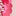 Irene Occasion Dress-Pink Opulent Blossom