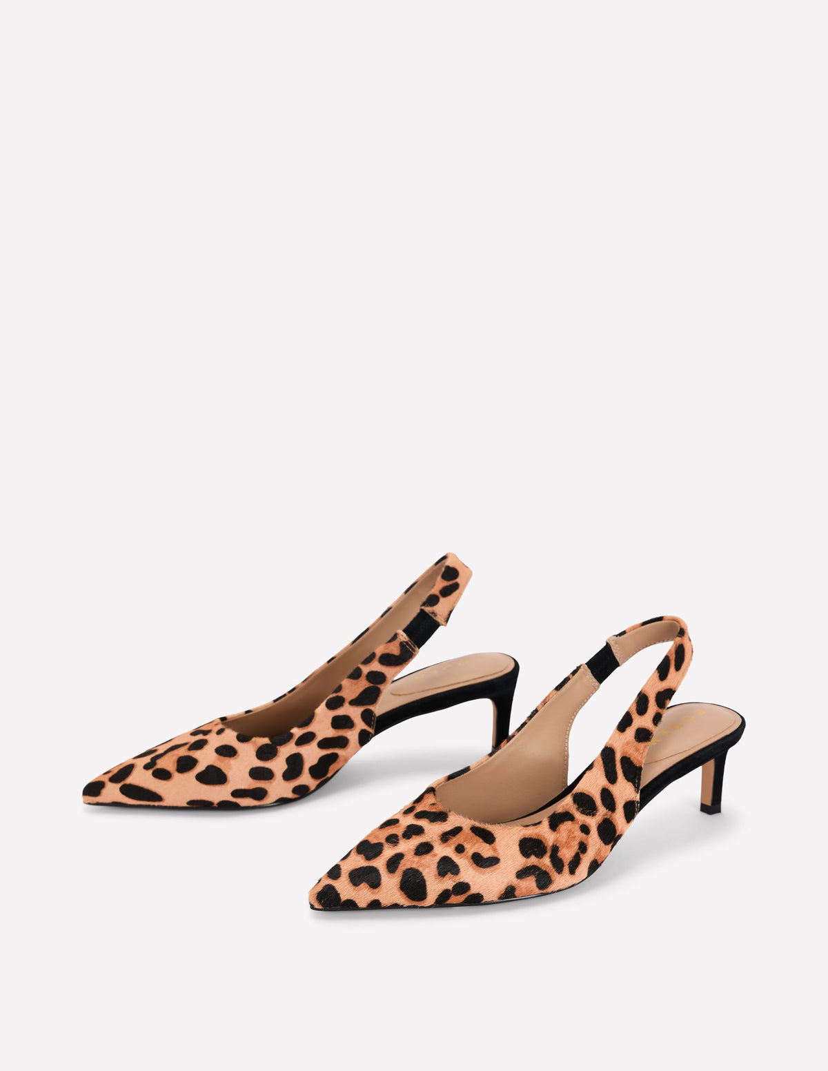 Hope Pointed Slingback Heels-Classic Leopard - Image 3