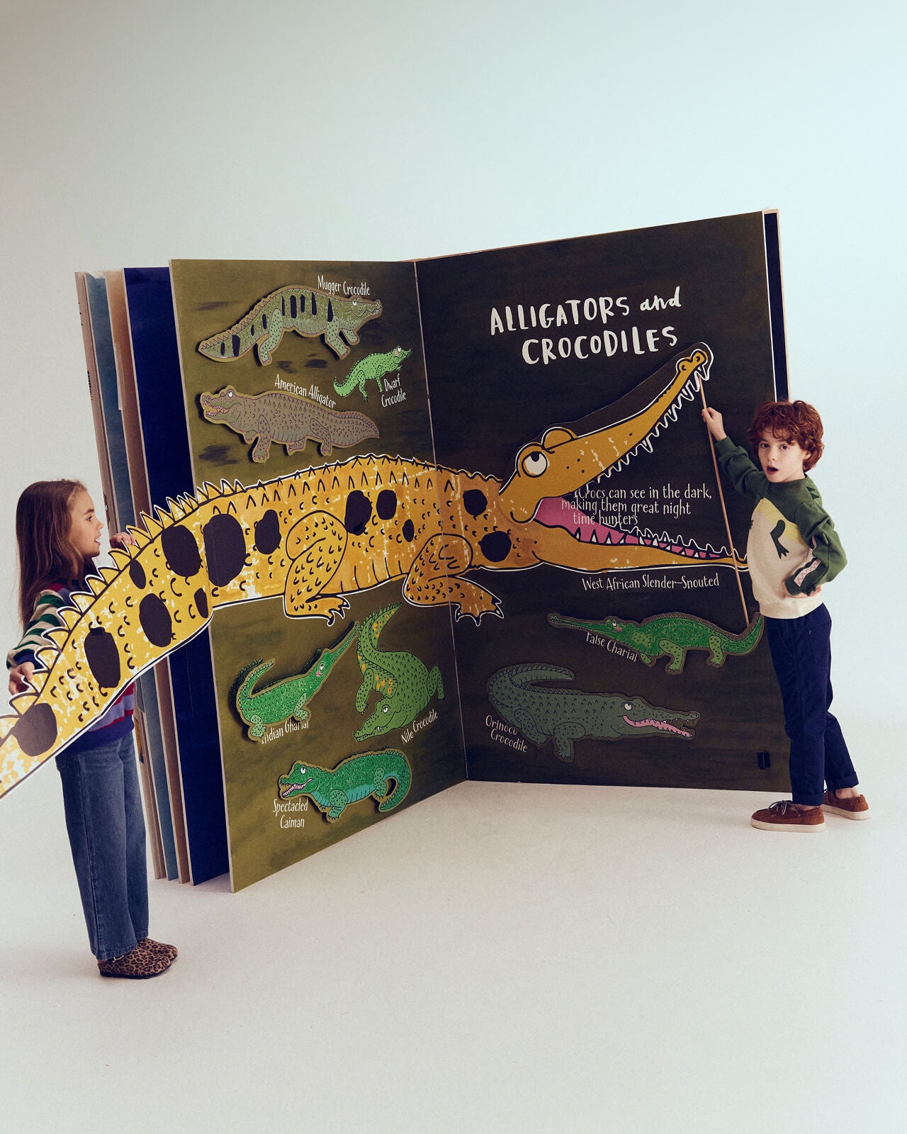 Children's book about alligators and crocodiles with cut-out illustrations, held open by two children.