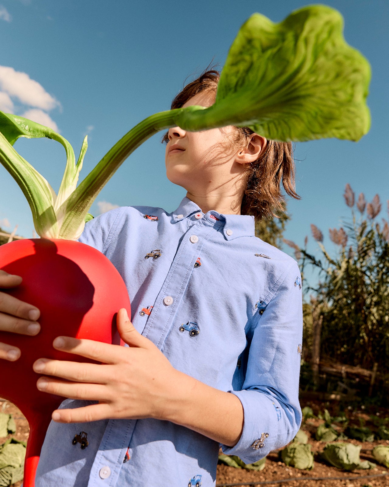 Person holding a large red radish and green leafy vegetable in an outdoor setting