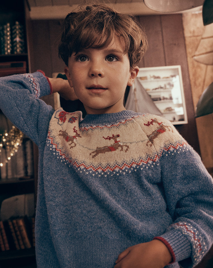 A young boy wearing a blue knit sweater with a cream yoke featuring brown reindeer and red and blue geometric patterns, posed in a cozy indoor setting.