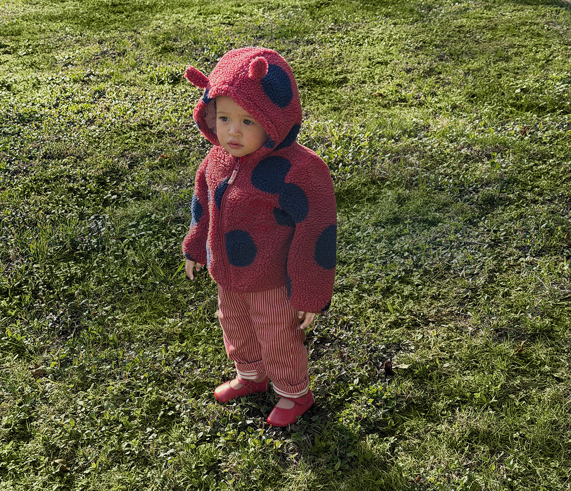 Child wearing a red and black ladybug costume standing on grass