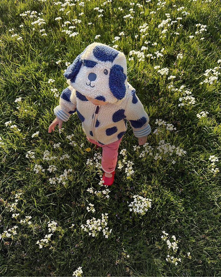 Child in a dog costume standing in a field of white flowers