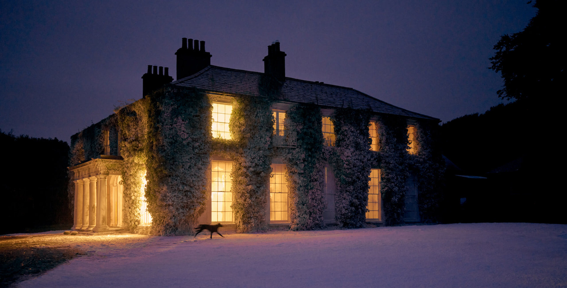 A house at night with lights on and a dog running past in the snow. 