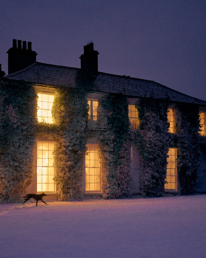 A house at night with lights on and a dog running past in the snow. 